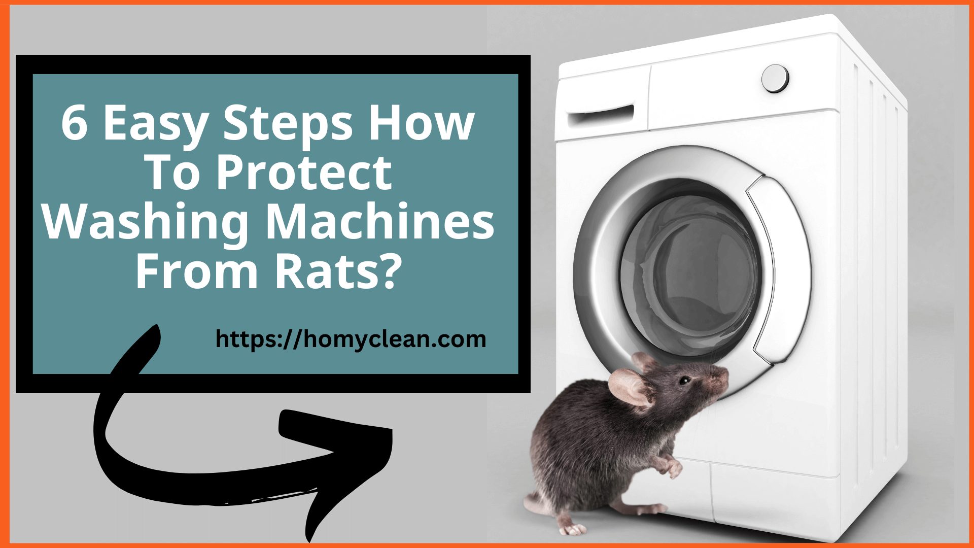 2o Tips How to Protect Washing Machine from Rats and Mice –  Tips and Tricks