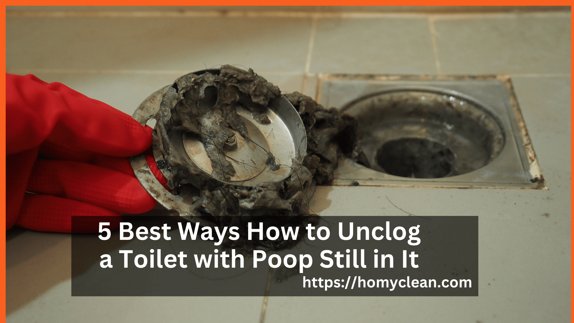 How to Unclog a Toilet with Poop Still in It