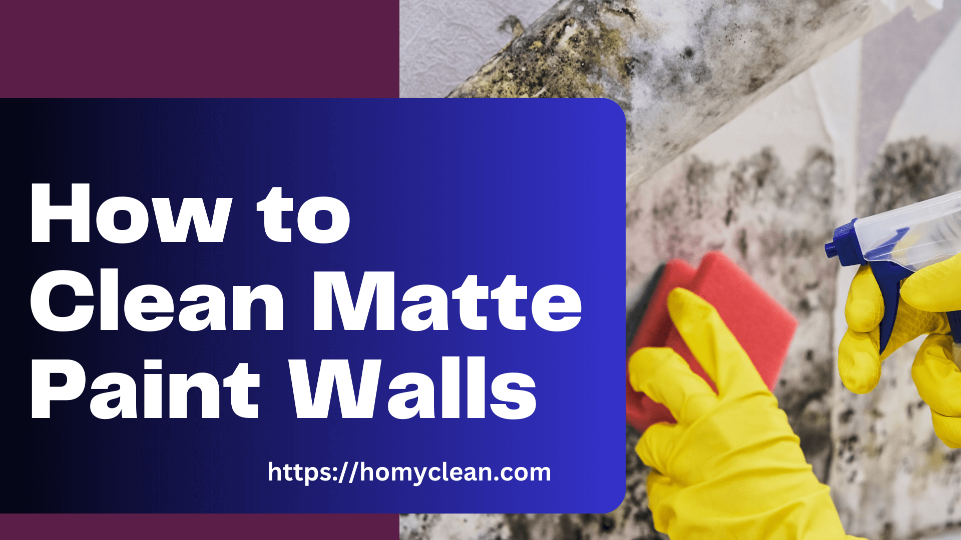 How to Clean Matte Paint Walls – Ans by Expert
