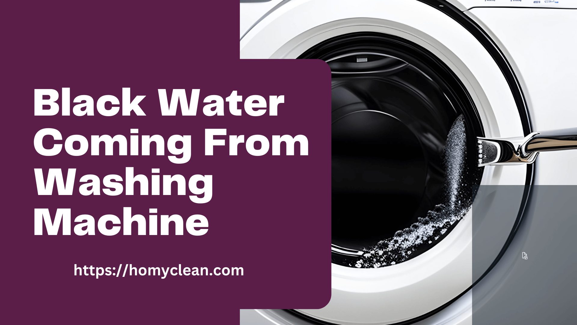 Black Water Coming From Washing Machine: Causes, Solutions, and Prevention
