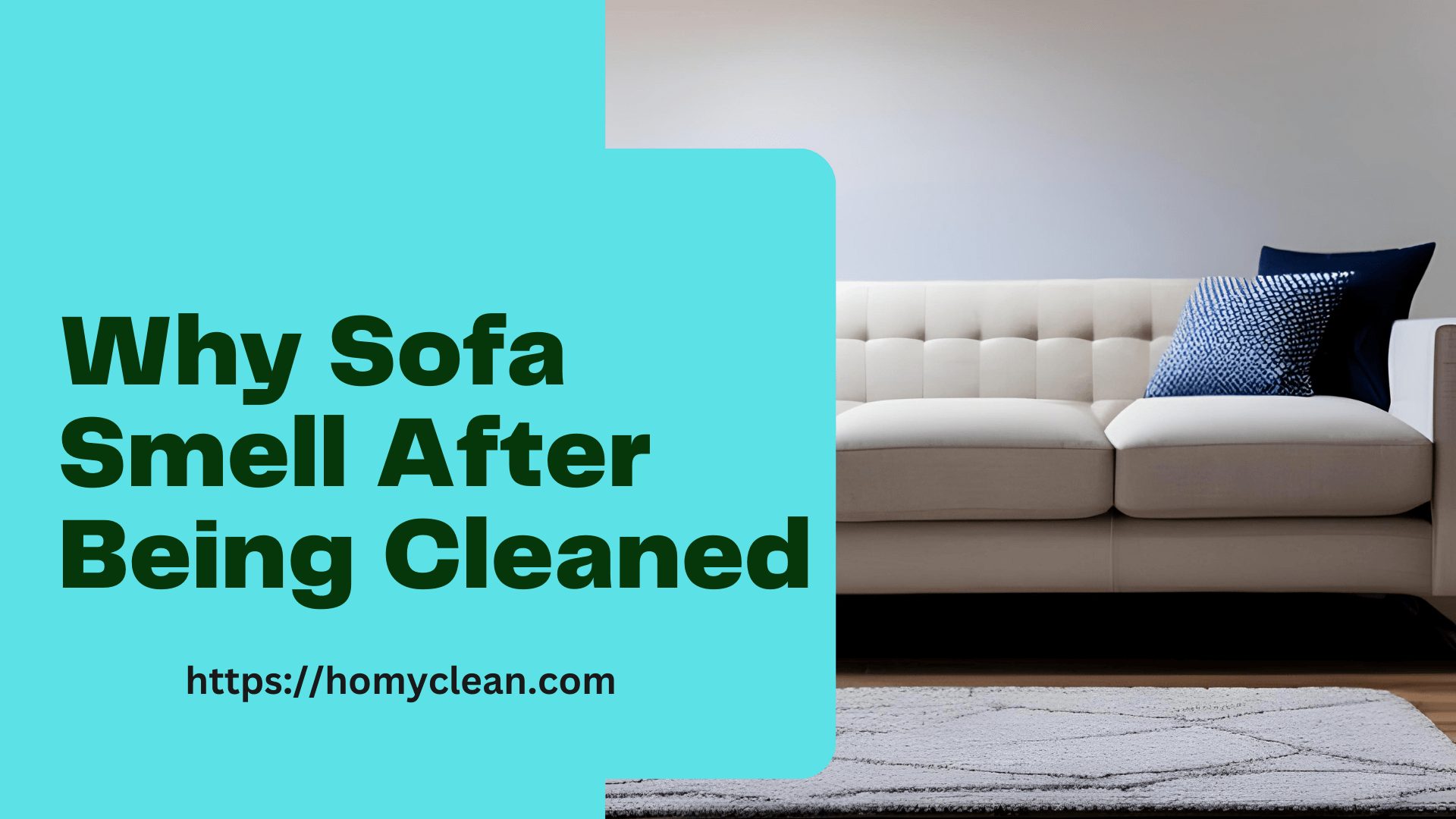 Why Does a Sofa Smell After Being Cleaned