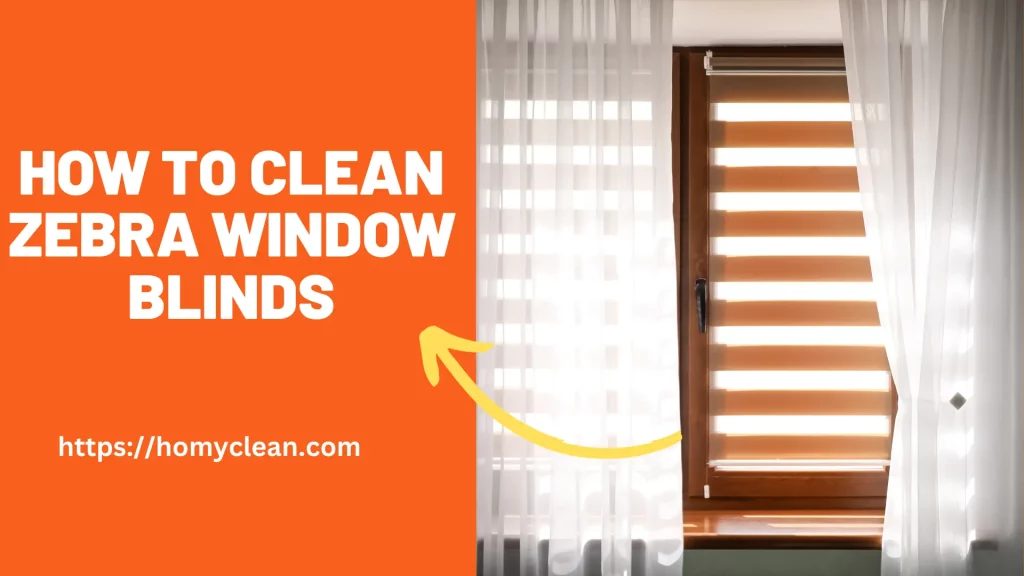 How to Clean Zebra Window Blinds