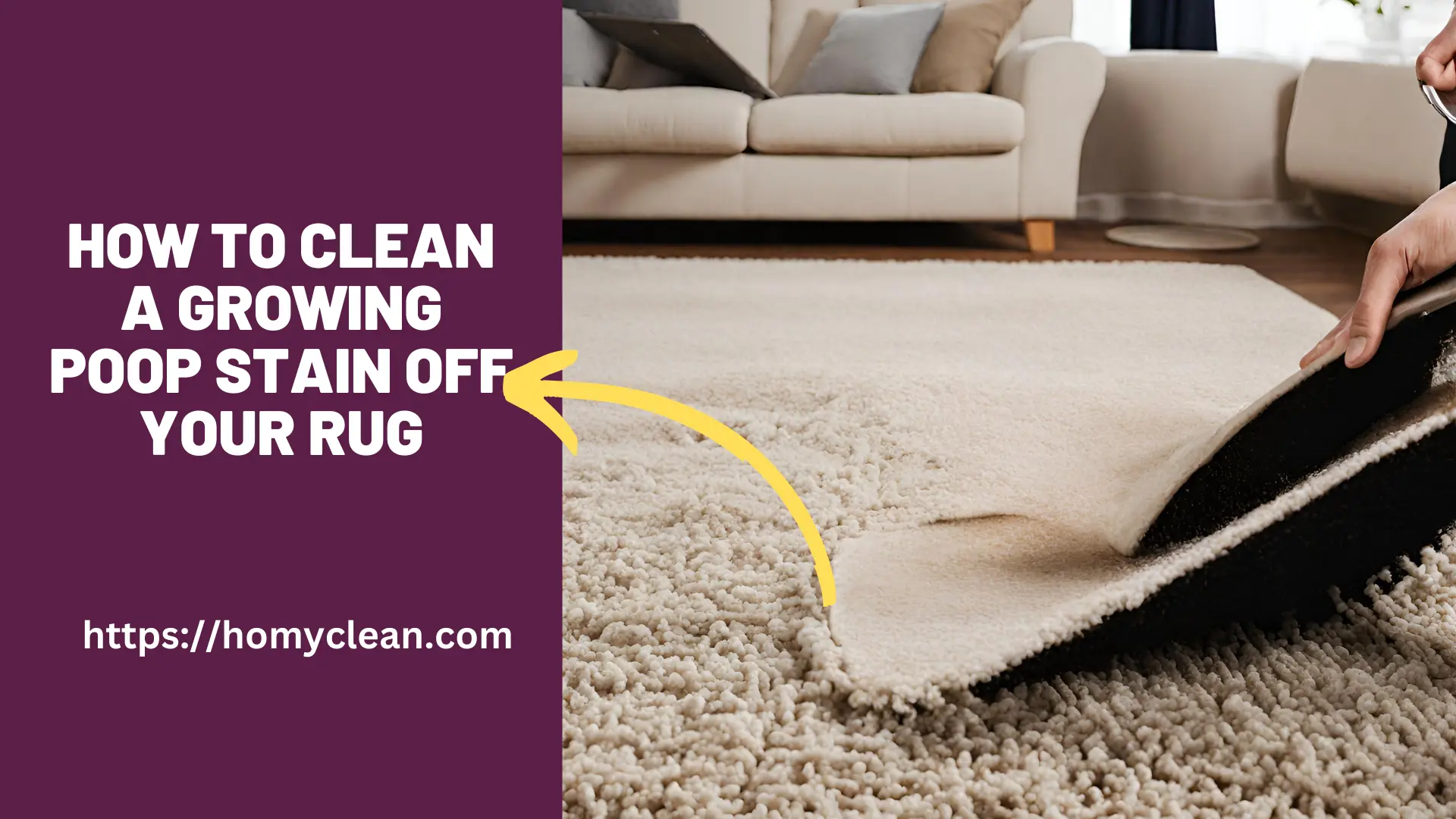 How to Clean a Growing Poop Stain Off Your Rug