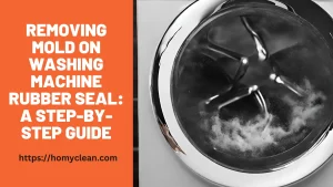 removing Mold on washing machine rubber seal
