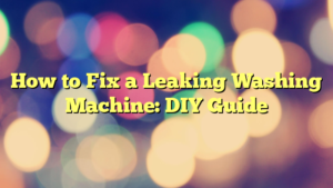 How to Fix a Leaking Washing Machine: DIY Guide